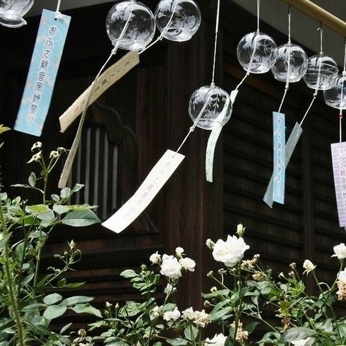 Pengantar Seni Minum Teh yang Sarat Filosofi